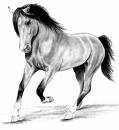 cheval