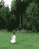 aie